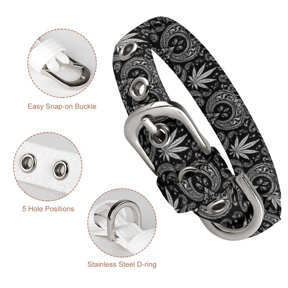The Blazey Dog Collar