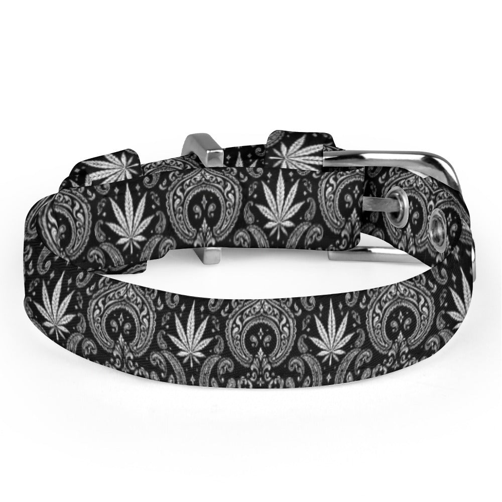 The Blazey Dog Collar