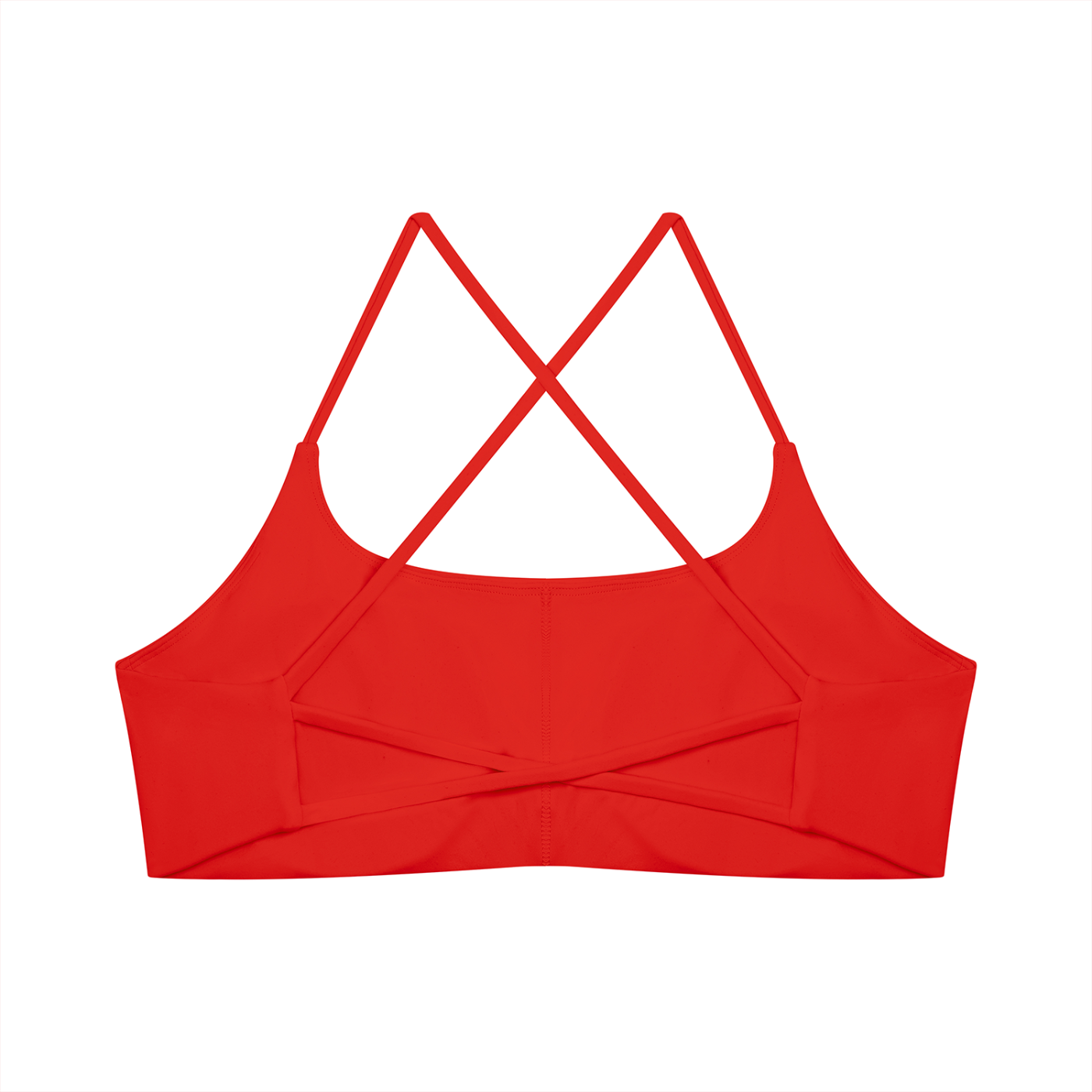 Cachet Sports Bra | Teddy Blaze Xtreme