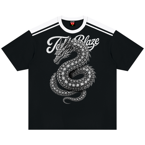 A black short-sleeve ringer t-shirt with a white crew neck and shoulder stripes, featuring a large white graphic of a patterned dragon and the text 'Terry Blaze' on the front.