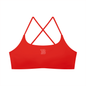 Cachet Sports Bra | Teddy Blaze Xtreme