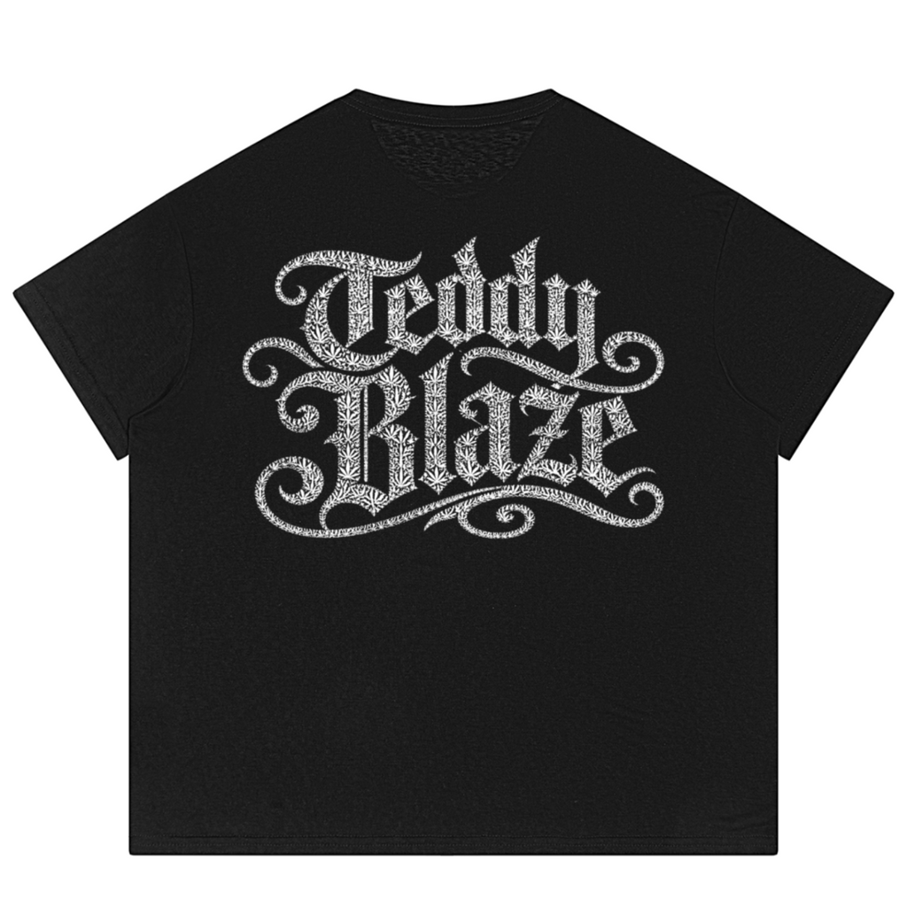 A black short-sleeve t-shirt with a large, stylized silver glitter-textured graphic reading 'Teddy Blaze' across the chest, presented on a solid white background.