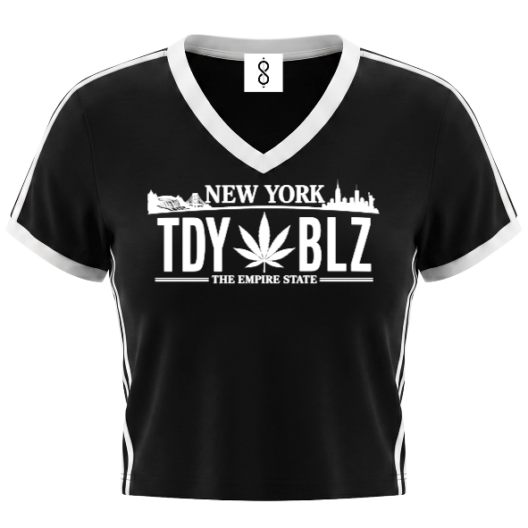 NYC Plate Stripe Detail V-Neck Tee | STONE AVE