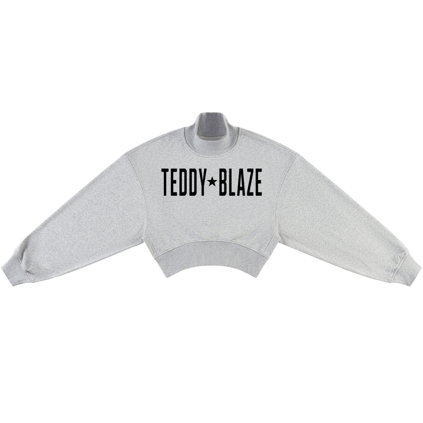 A light gray cropped sweatshirt with 'TEDDY BLAZE' printed in black across the chest, displayed on a gray mannequin torso against a plain white background.