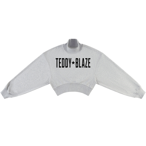 A light gray cropped sweatshirt with 'TEDDY BLAZE' printed in black across the chest, displayed on a gray mannequin torso against a plain white background.